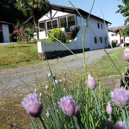 Gite Etxe Xuri Ossès Eksteriør bilde