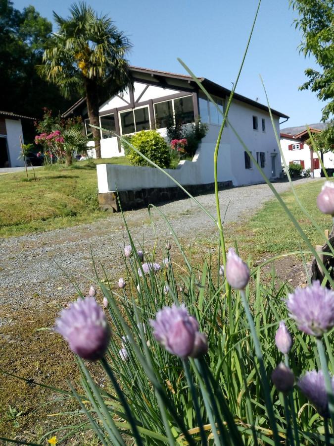 Gite Etxe Xuri Ossès Eksteriør bilde